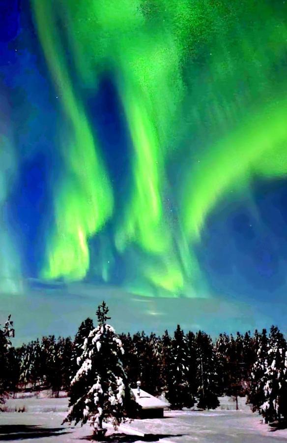 Northern Lights Lapland Villa Hosio Экстерьер фото