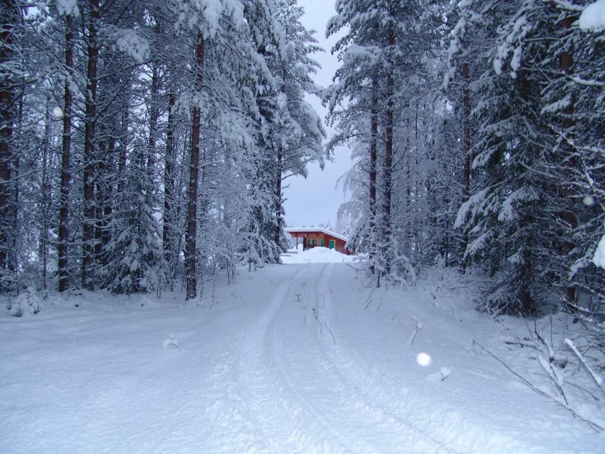 Northern Lights Lapland Villa Hosio Экстерьер фото